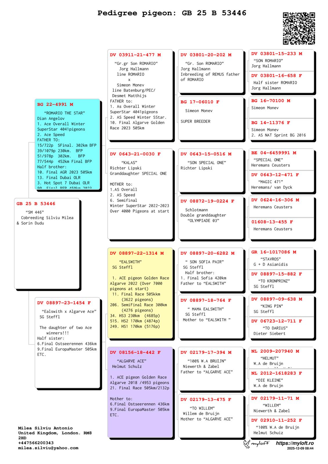 GB 25 B 53446 M - Son 1 Ace Superstar Spain; Grandson Ealswith 1 Ace AGR, Algarve Ace 1 Ace AGR