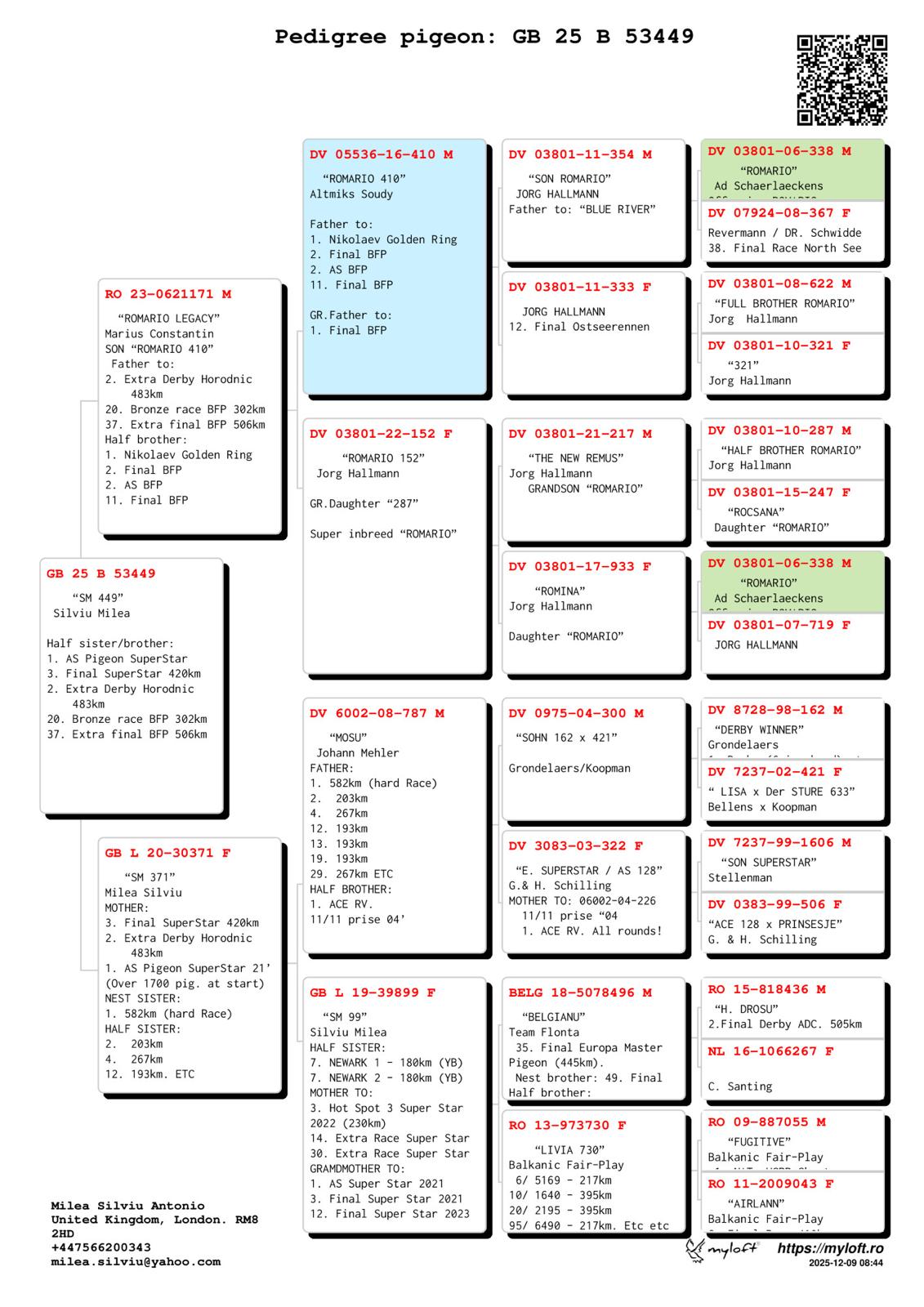 GB 25 B 53449 F - Half sister 1 Ace Superstar; Grandson 410 (Marius Constantin)