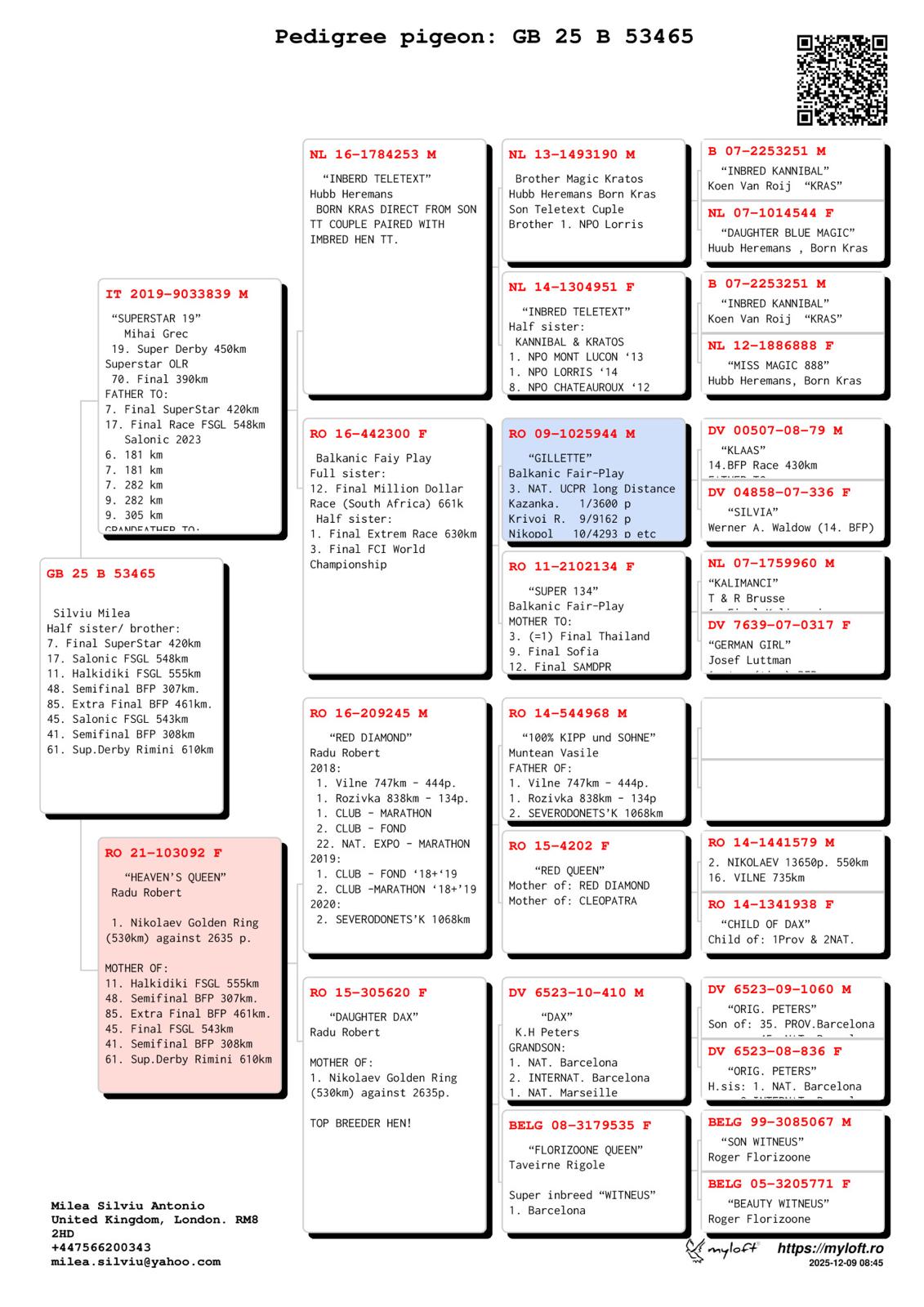 GB 25 B 53465 F - Daughter 1 place Nikolaev Golden Ring (530 km)