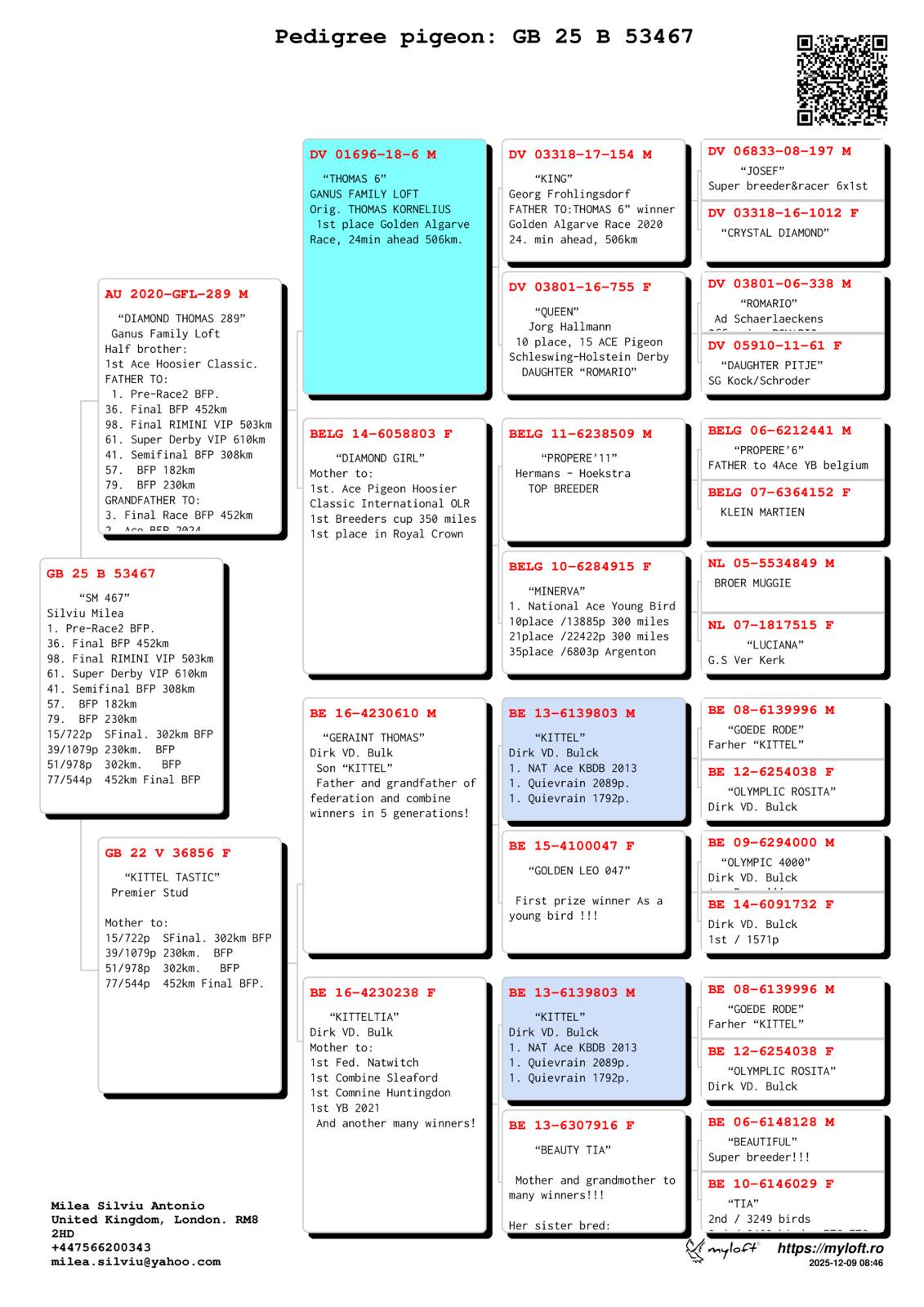 GB 25 B 53467 F - Son Thomas 6 (Gfather 3 Final BFP) x Double Granddaughter Kittel