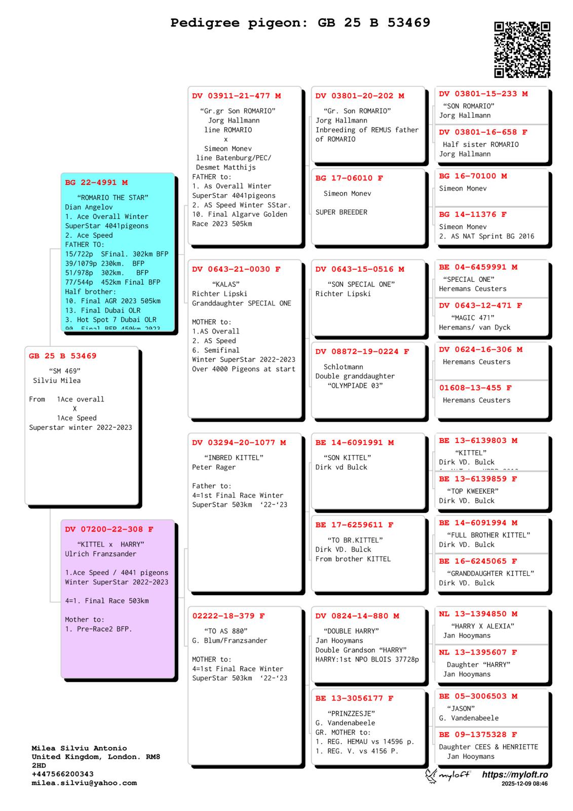 GB 25 B 53469 F - 1 Ace Superstar Spain x 1 Ace Superstar Spain