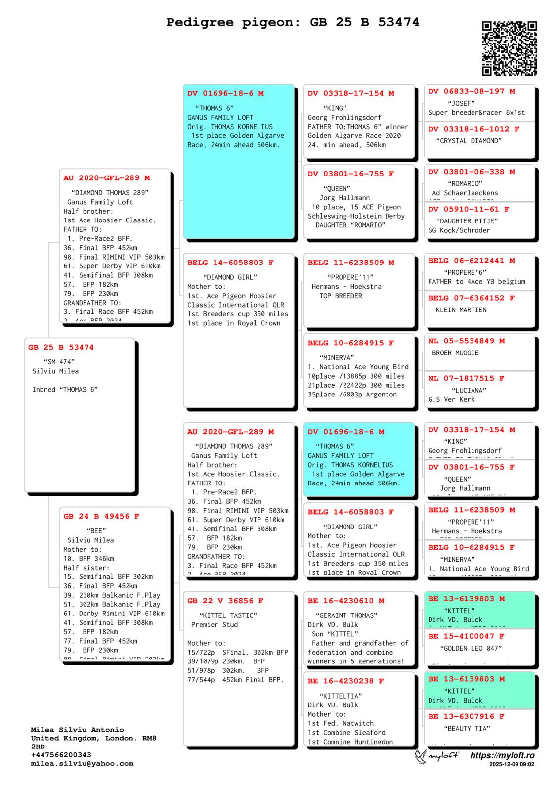 GB 25 B 53474 F - Granddaughter Thomas 6 (1 Final AGR / 24 min ahead)