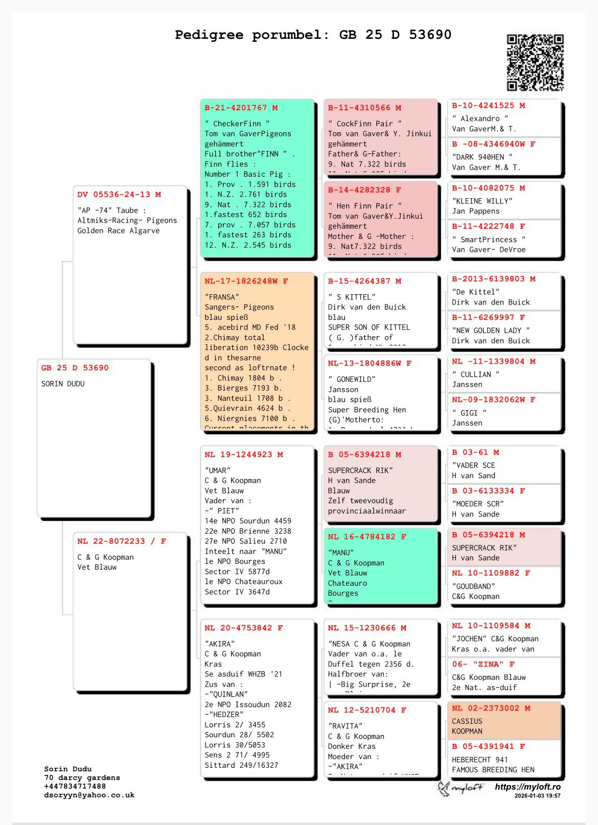GB 25 D 53690 M - Grandson Umar / Akira (C & G Koopman)