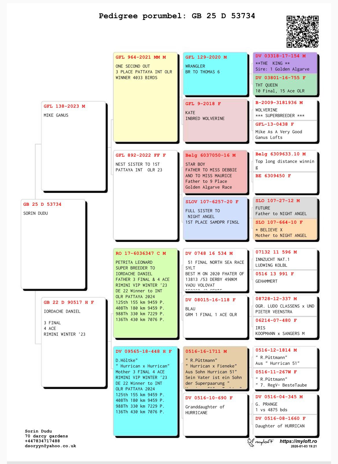 GB 25 D 53734 M - Grandson 3 Final Pattaya (Mike Ganus)