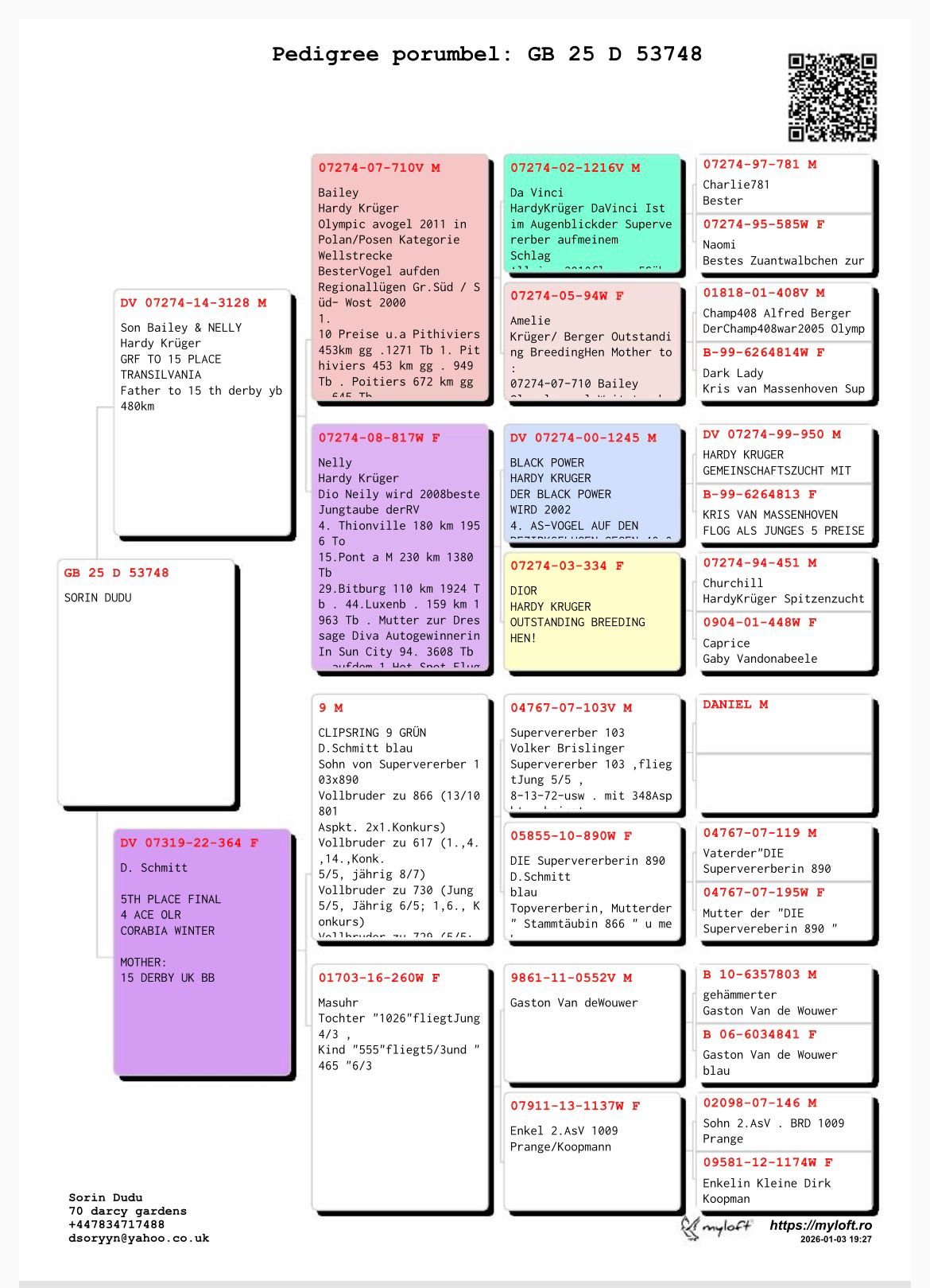 GB 25 D 53748 M - Grandson Bailey / Nelly (Hardy Kruger)