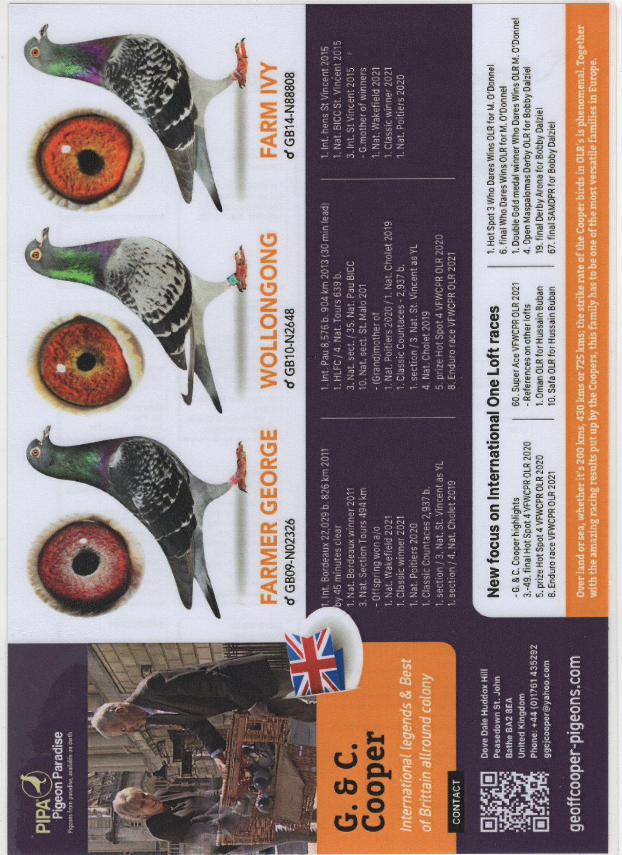 GB C 22 1451 F - Super marathon! Granddaughter of 3 International winners! Inbred 1 Int Pau!
