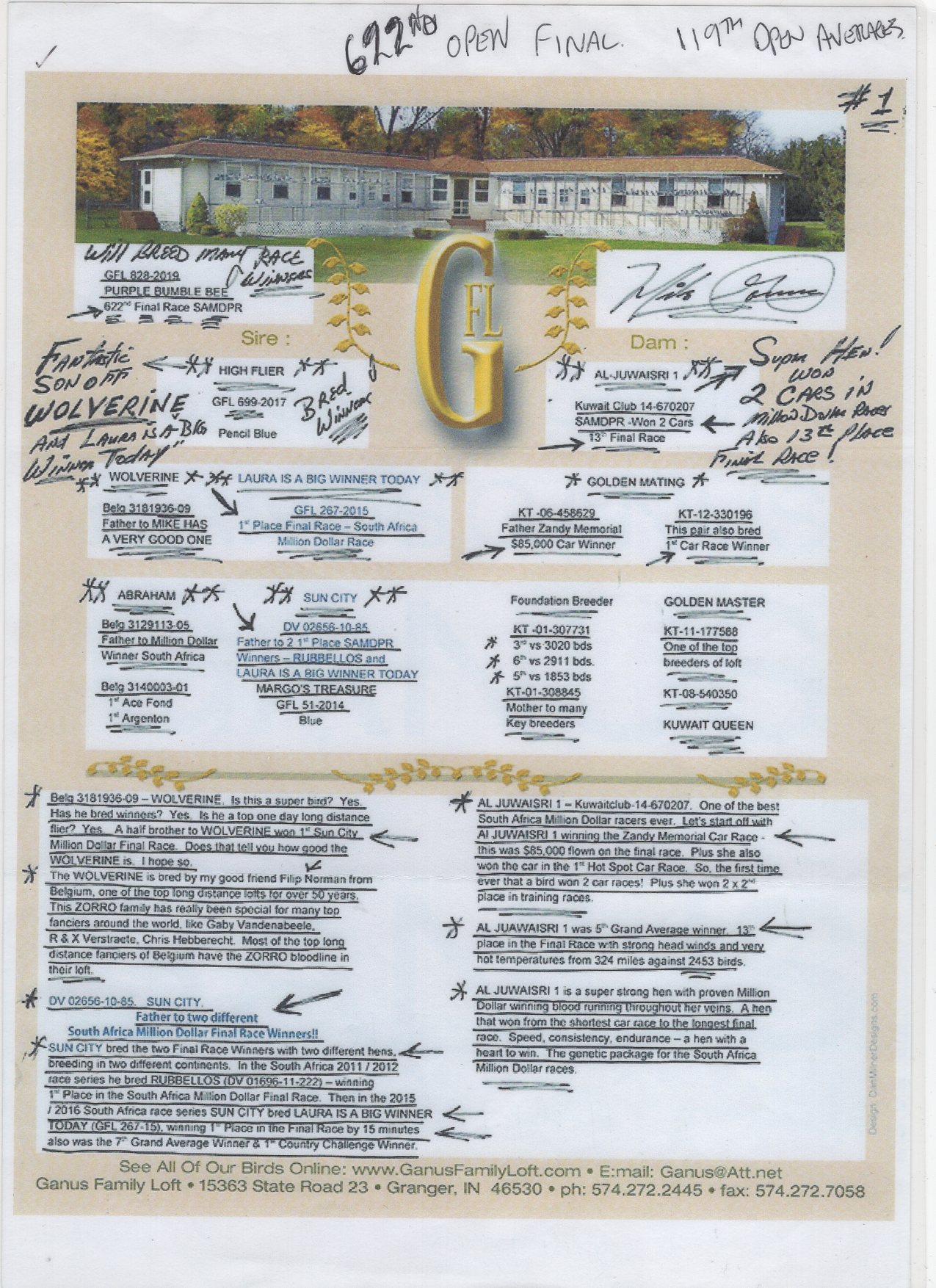 GFL 19 828 M - MIKE GANUS - GRandson Wolverine, Laura is a Big Winner Today