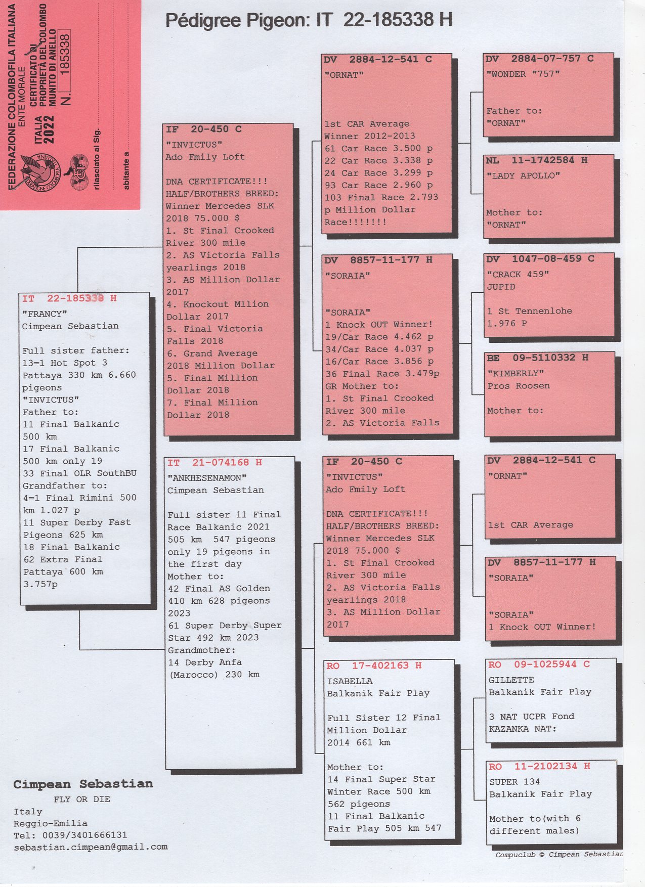IT 22 185338 F - SEBASTIAN CIMPEAN - Dght Invinctus; H sister mother 1 Ace Pattaya