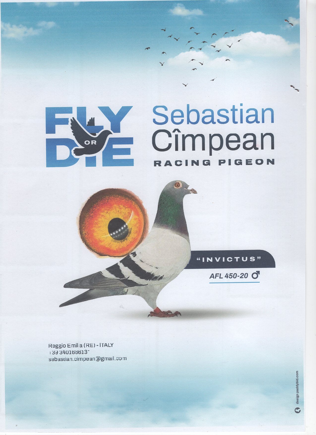 IT 22 185338 F - SEBASTIAN CIMPEAN - Dght Invinctus; H sister mother 1 Ace Pattaya