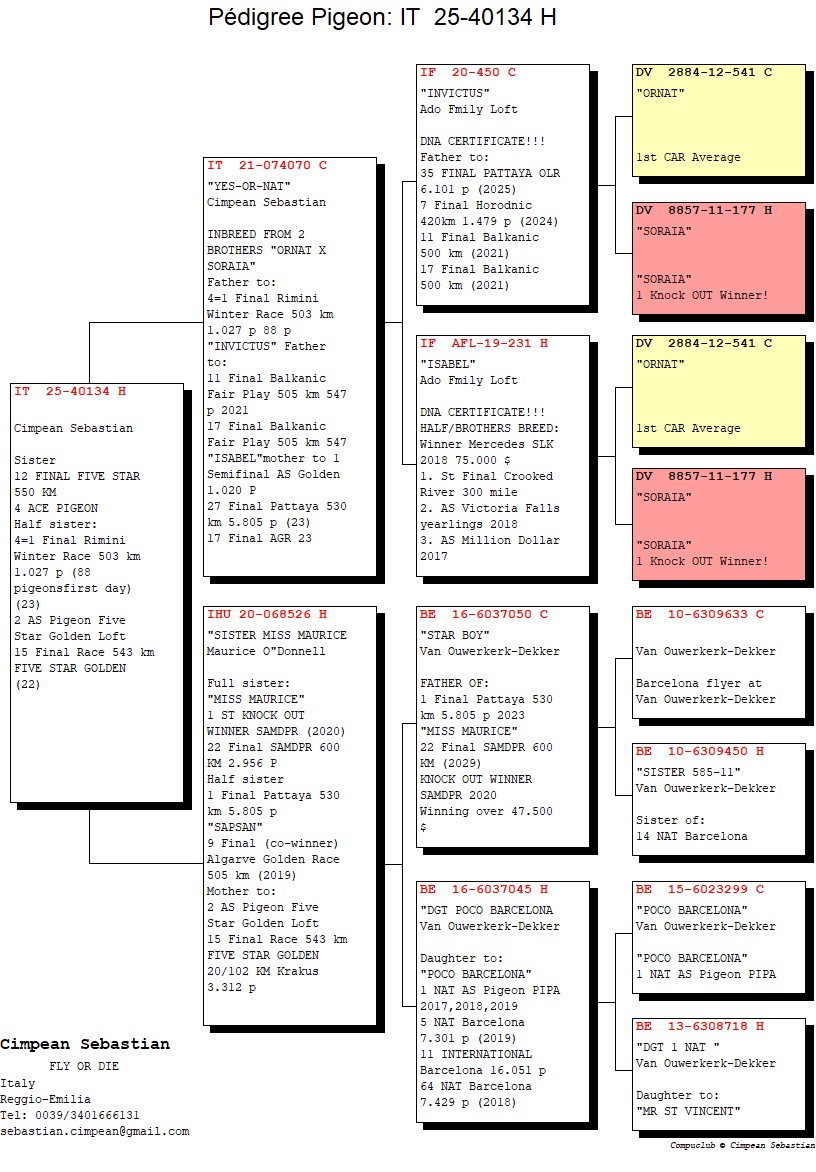 IT 25 40134 F - Half sister 4=1 Final Rimini Winter; Granddaughter Invinctus