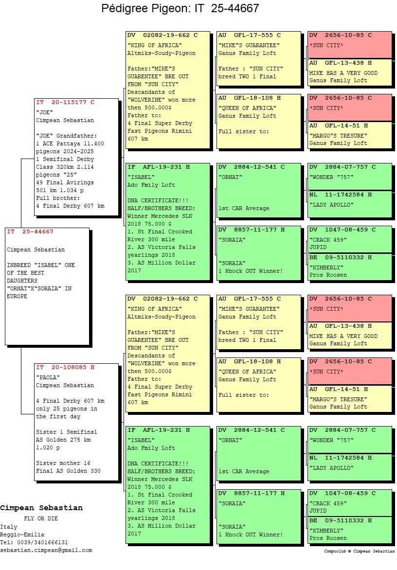IT 25 44667 F - Double granddaughter Isabel (special breeder out of Ornat x Soraia)