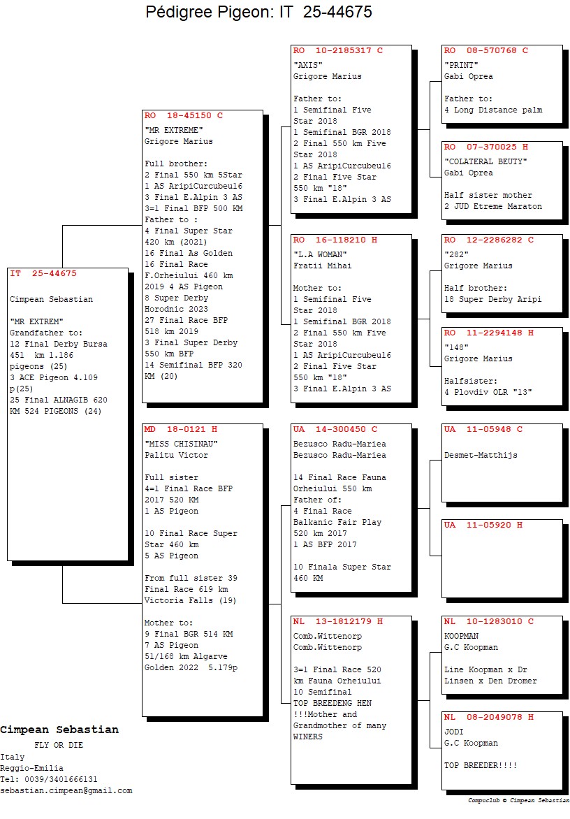 IT 25 44675 F - Full brother 3=1 Final BFP x 4=1 Final BFP