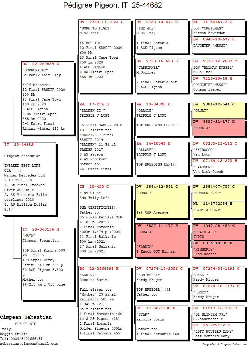 IT 25 44682 M - Grandson Invinctus