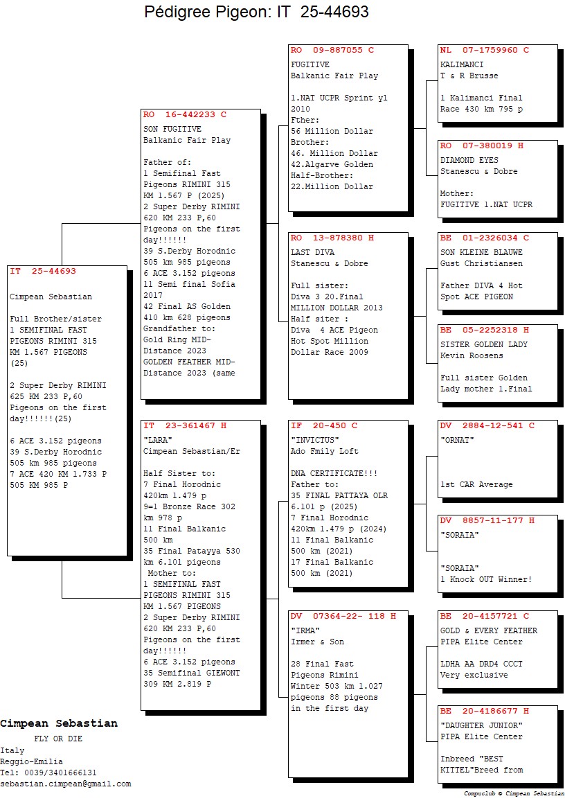 IT 25 44693 F - Sister 2 Extra Final Rimini (1 Semifinal)