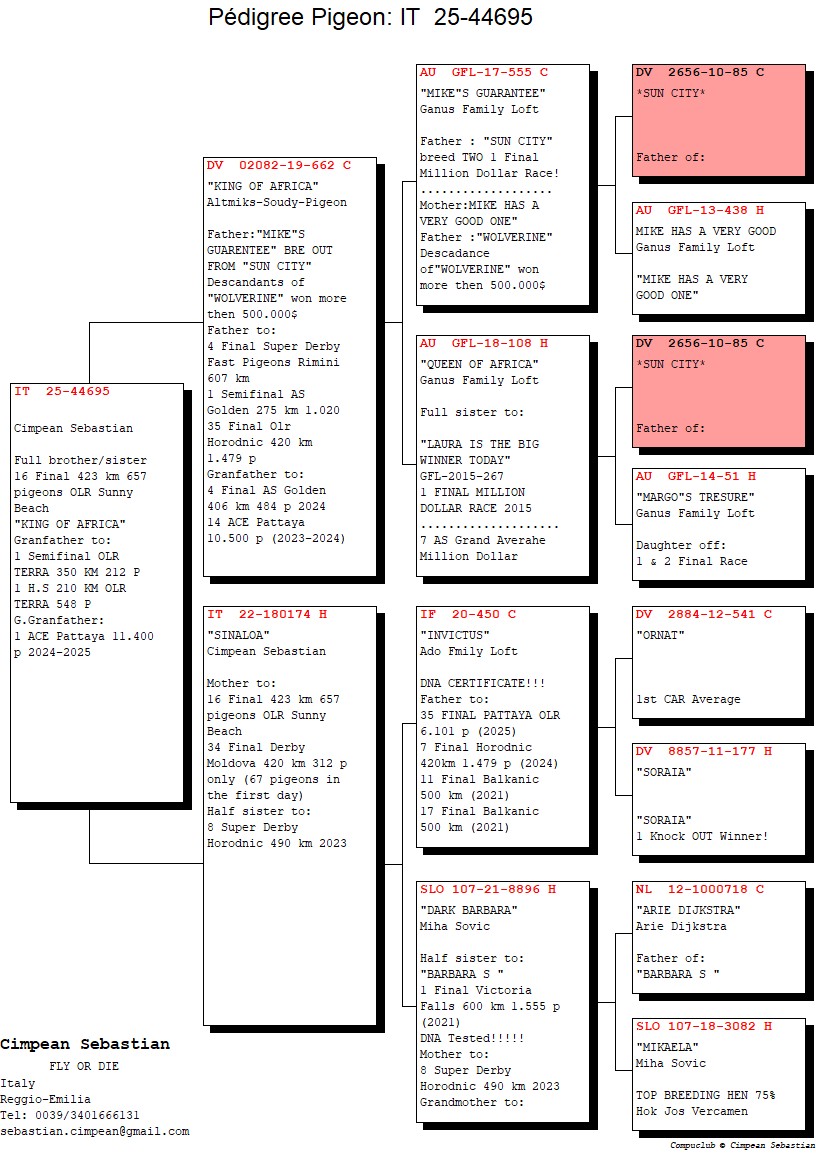 IT 25 44695 F - Superbreeder King Of Africa x Daughter Invinctus