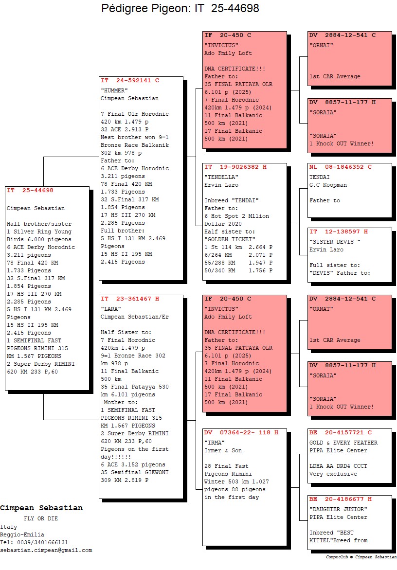 IT 25 44698 F - Double granddaughter Invinctus