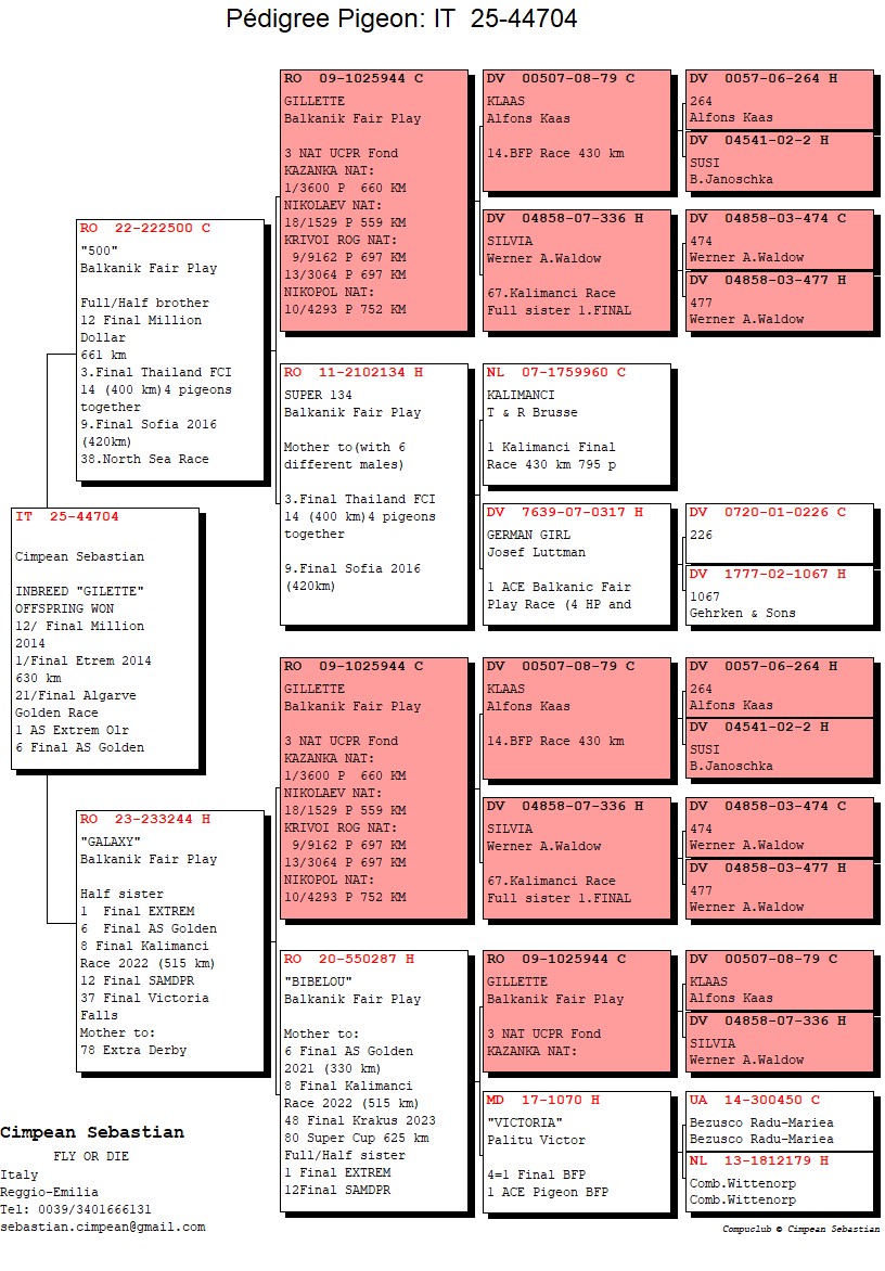 IT 25 44704 F - Double granddaughter Gillette