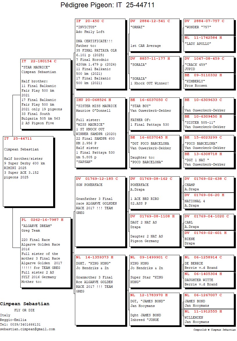 IT 25 44711 F - Granddaughter Invinctus; HSister 9 Extra Final Rimini