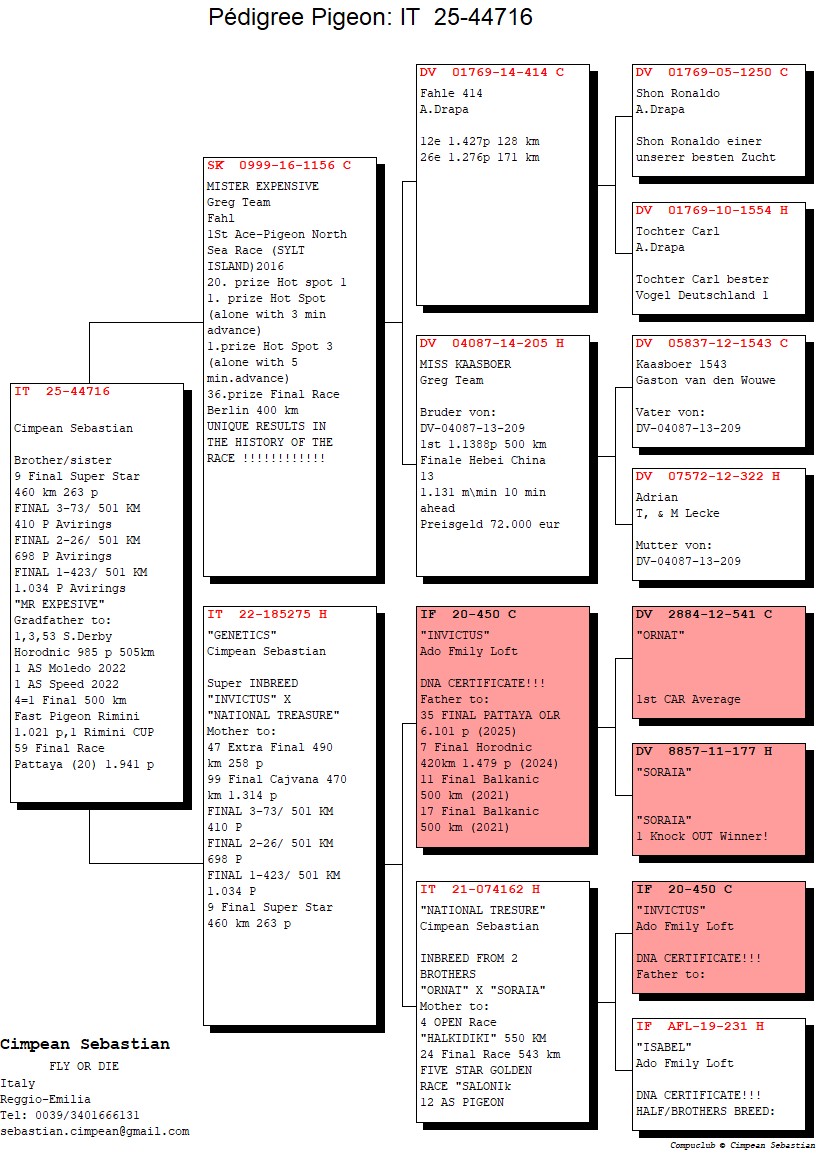 IT 25 44716 M - MR Expensive (1 Ace Sylt) x Daughter Invinctus; Brother 9 Final SS Race
