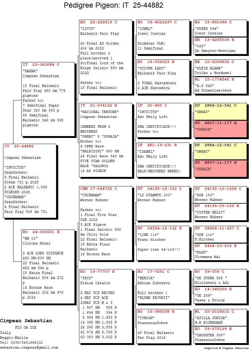IT 25 44882 F - Hsister 18 Final BFP; Daughter 2 Ace Final + Extra Final BFP