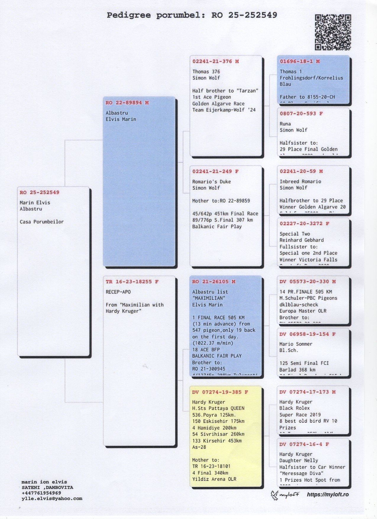 MARIN ELVIS 252549 25