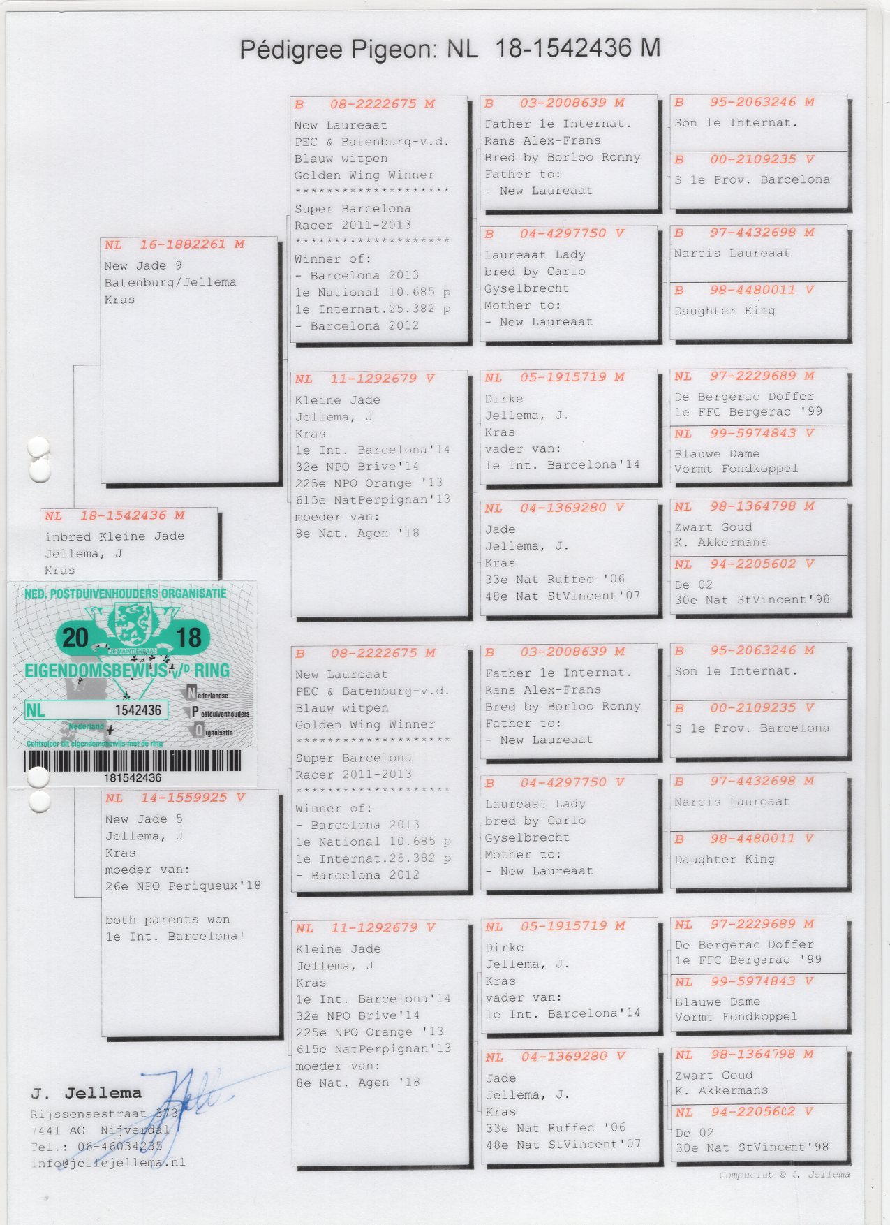 NL 18 1542436 - JELLE JELLEMA - INBRED "KLEINE JADE"