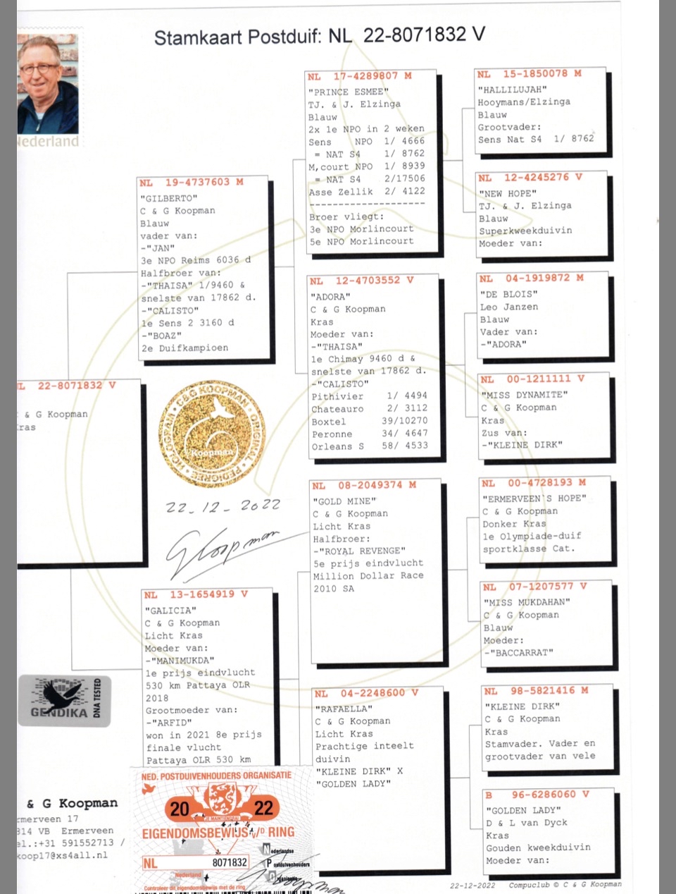 NL 22 8071832 F - C & G KOOPMAN - HALF SISTER 1 FINAL PATTAYA OLR