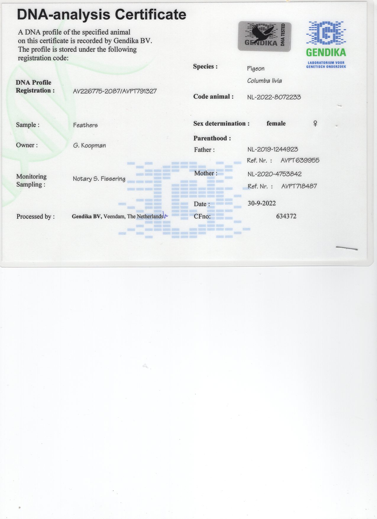 NL 22 8072233 F - C & G Koopman - Granddaughter Manu