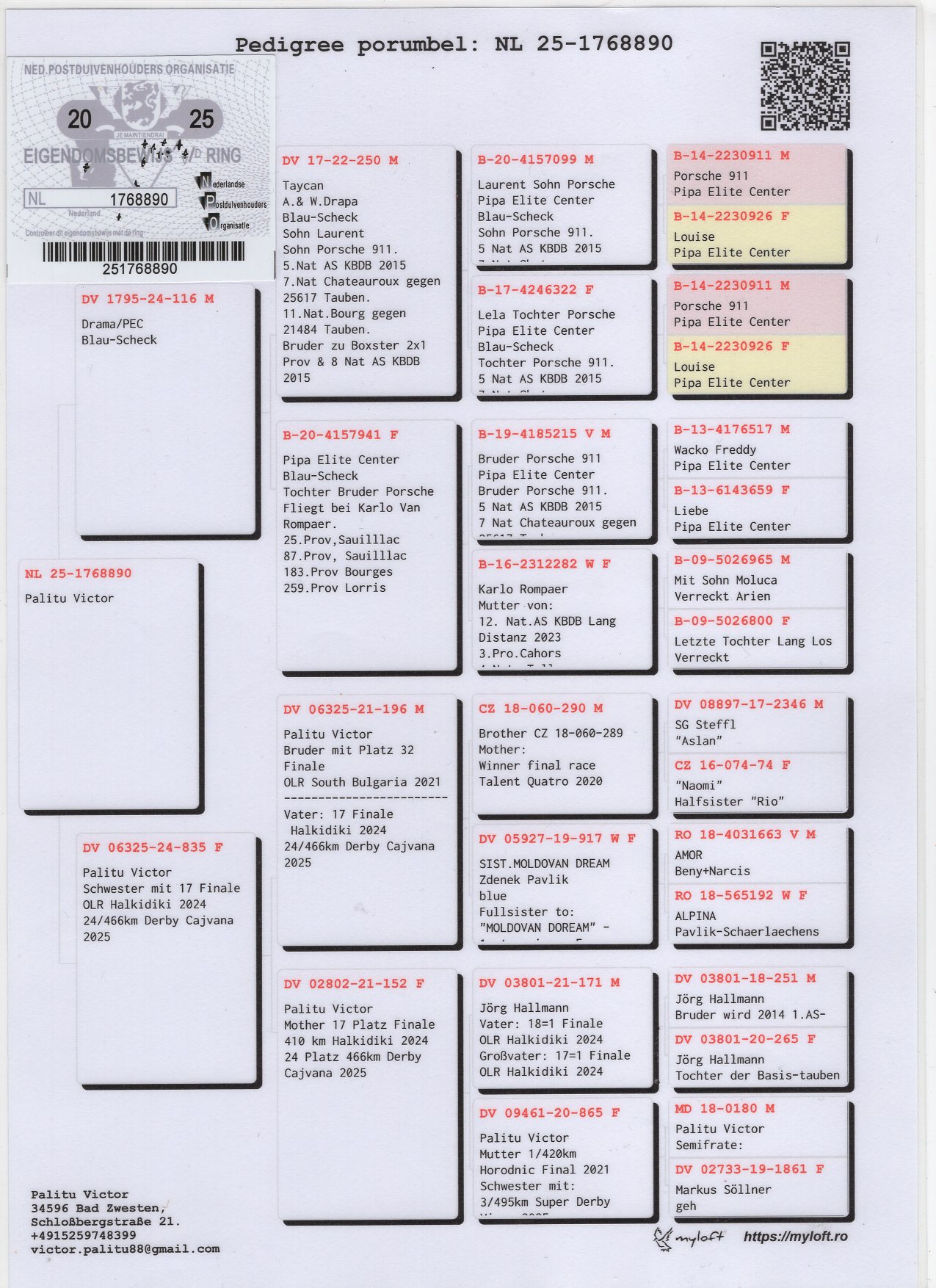 NL 25 1768890 M - Grandson Taycan (Andreas Drapa)