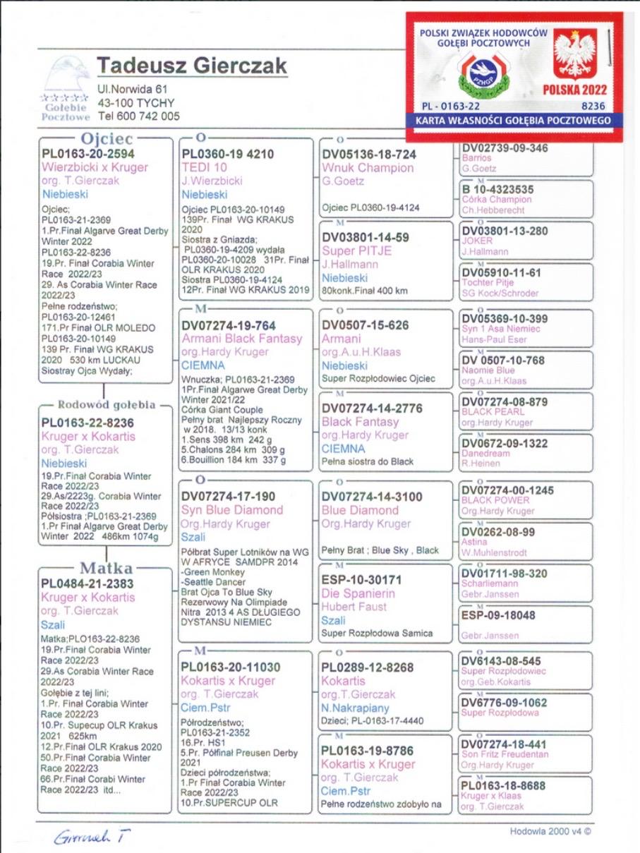 PL 163 22 8236 F - TADEUSZ GIERCZAK - 19 Final Corabia Spain; H sister 1 Final AGD