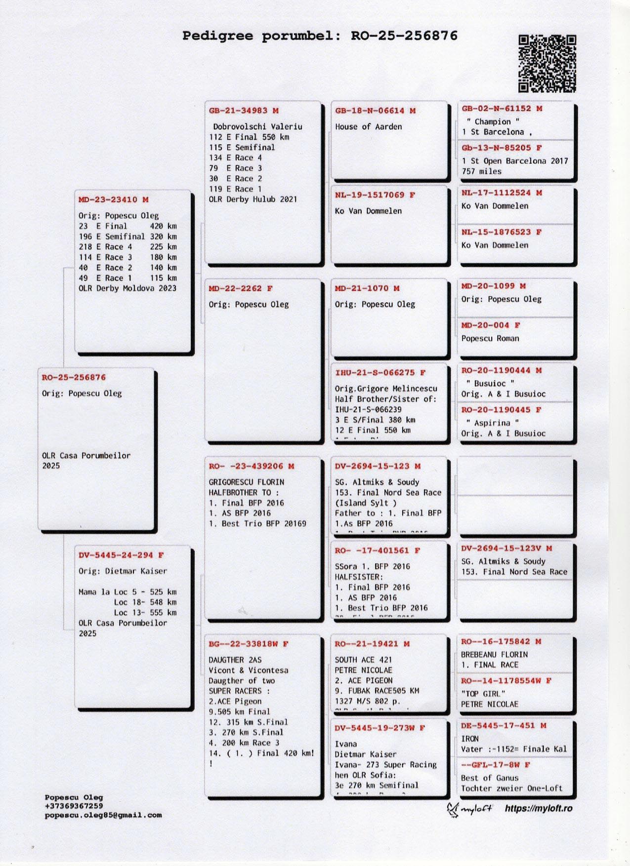 POPESCU FAMILY 256876 25