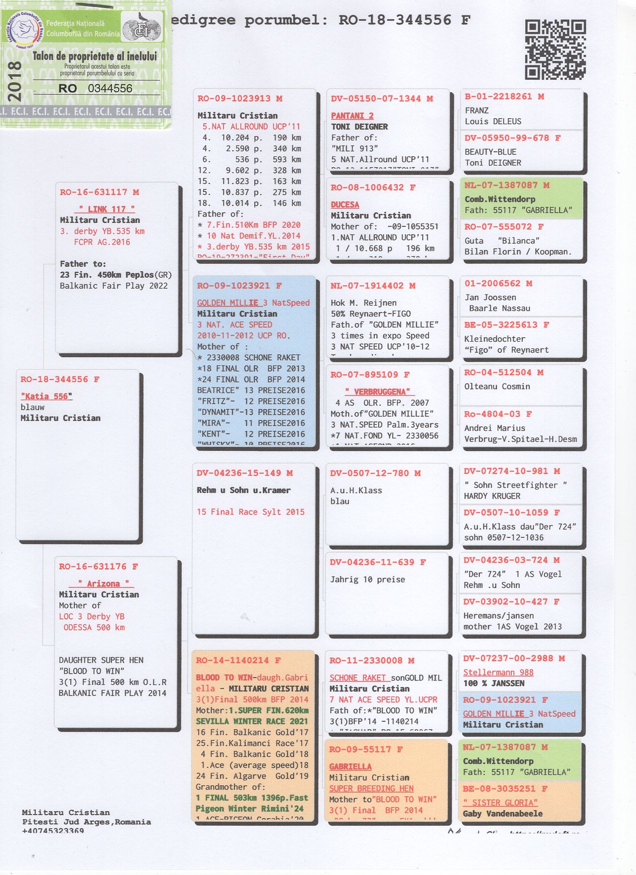 RO 18 344556 F - HALF SISTER 3 PLACE PROV DERBY YB, 23 FINAL BFP
