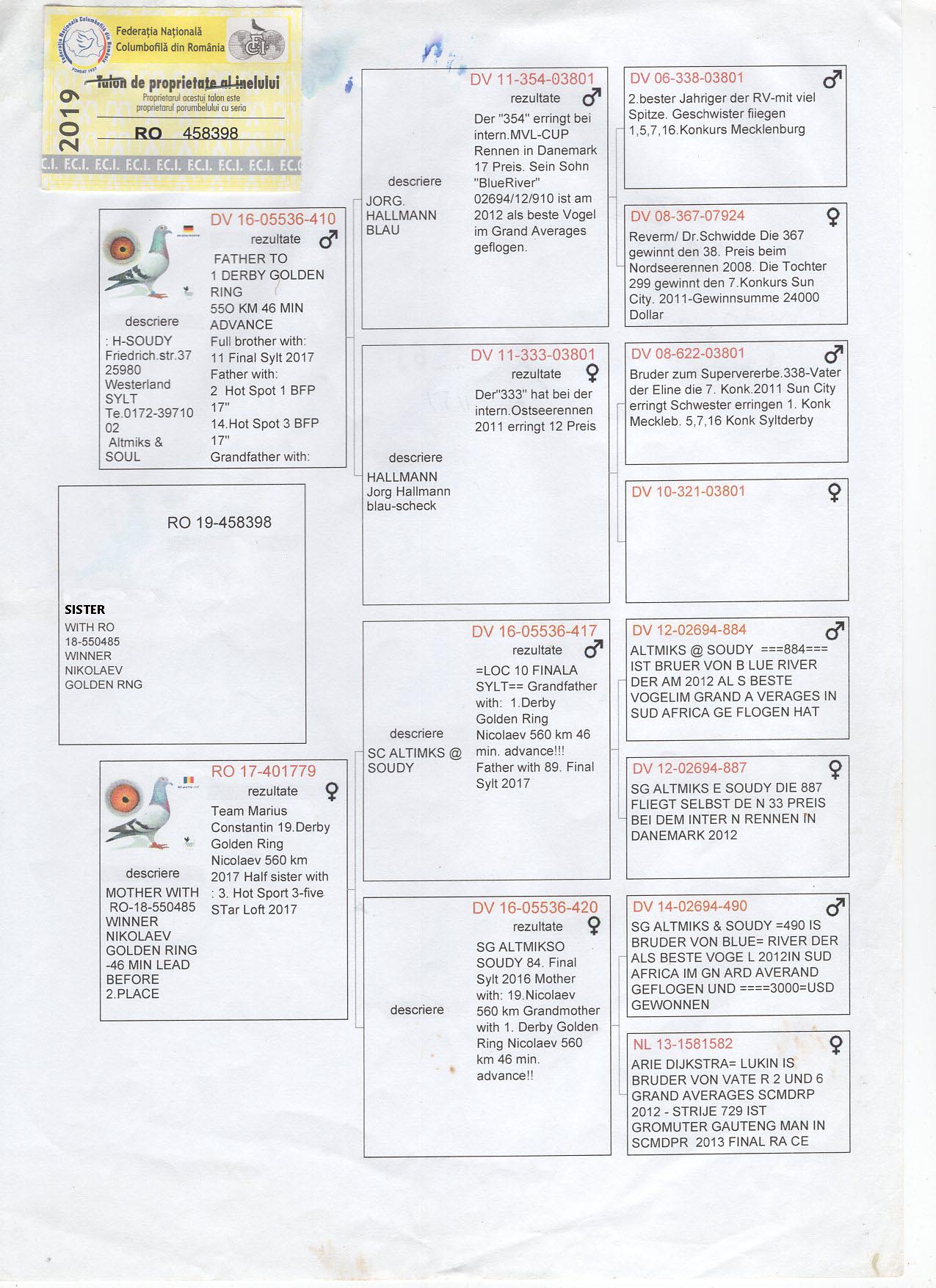RO 19 458398 F - SISTER 1 PLACE NIKOLAEV GOLDEN RING, DAUGHTER ROMARIO 410