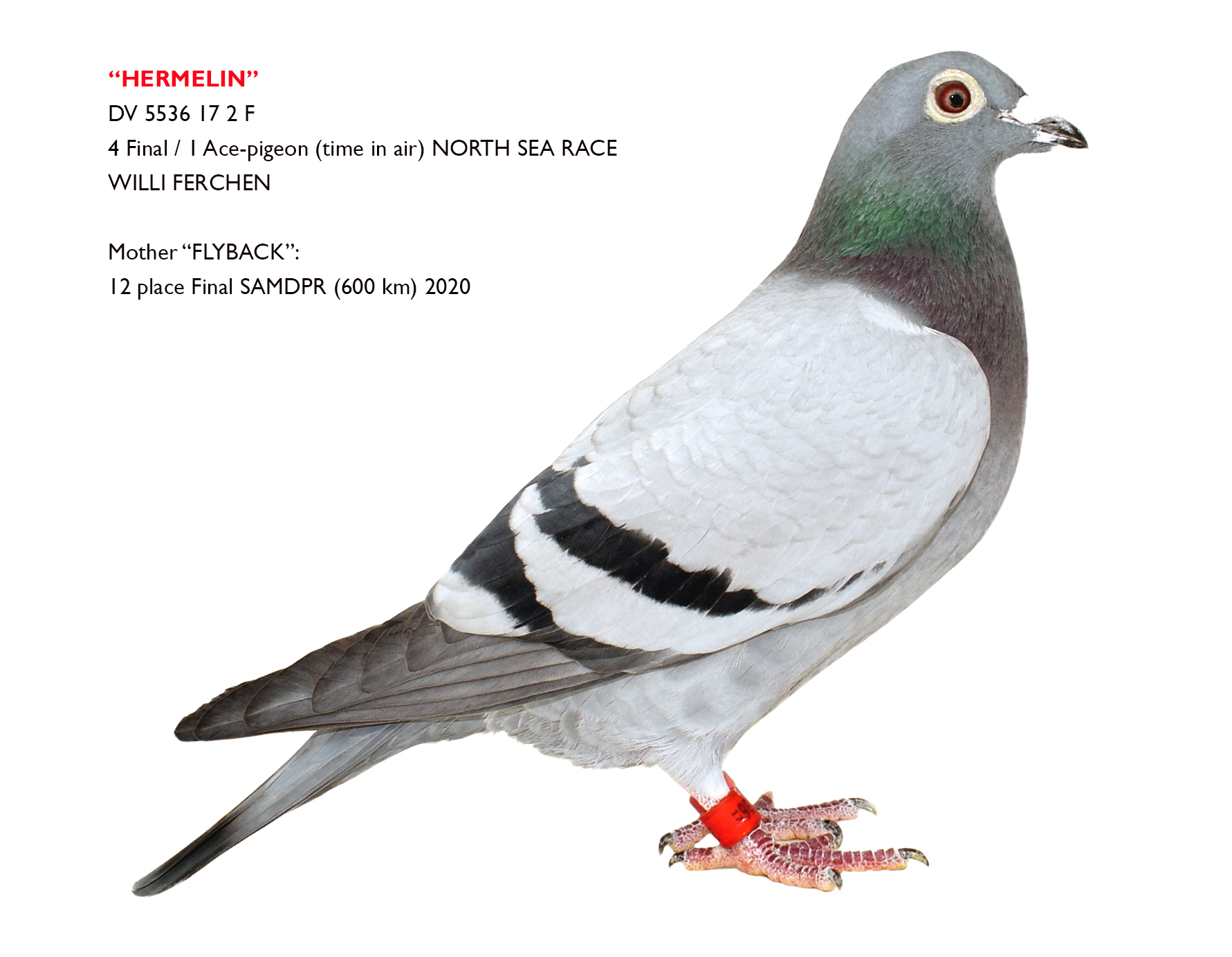 RO 20 554020 M - BFP LOFT - Father 2, 4 Final FSGL etc. Brother 12 Final SAMDPR