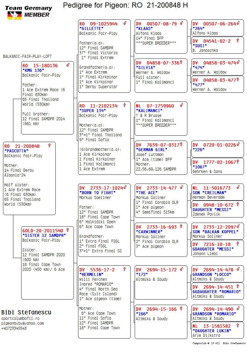RO 21 200848 F - BFP LOFT - Mother 14 Final Derby Albania