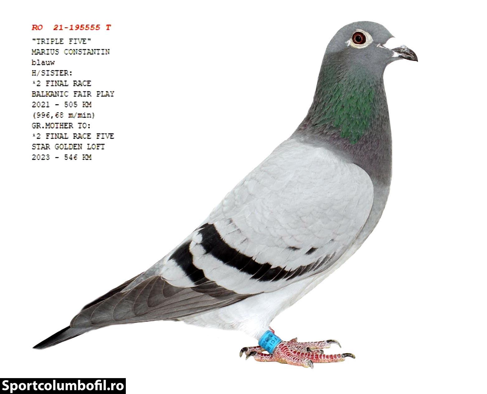 RO 22 633270 F - TEAM MARIUS CONSTANTIN - Mother 2 Final FSGL (540 km)