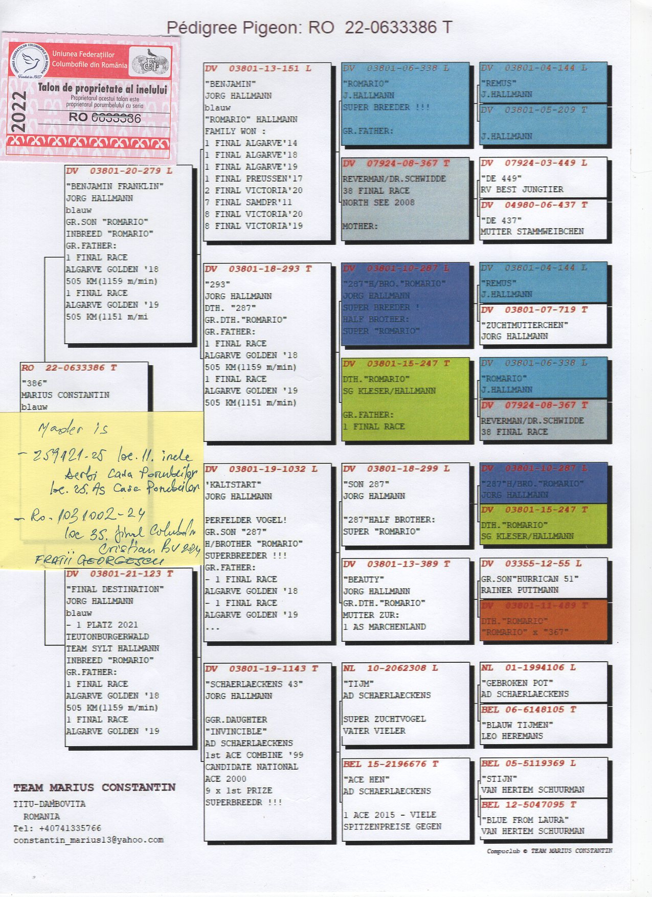 RO 22 633386 - TEAM MARIUS CONSTANTIN - Daughter 1 Final Teuto (Jorg Hallmann)