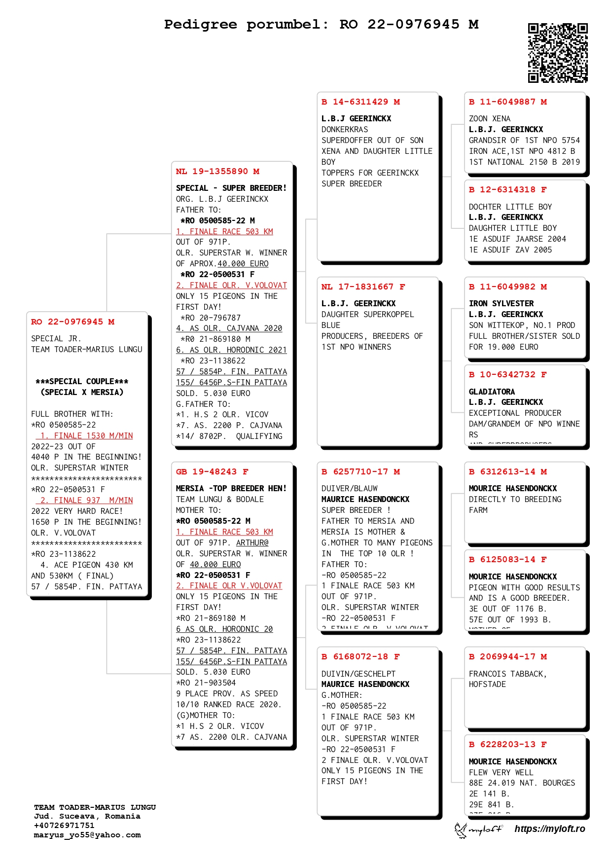 RO 22 976945 M - Full brother 1 Final Superstar Spain / 2 Final Vadu Volovat