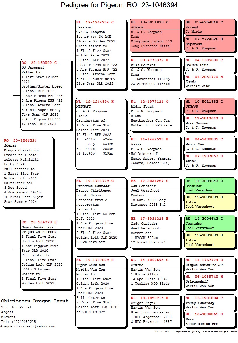 RO 23 1046394 M - DRAGOS CHIRITESCU - Father 1 prov Halkidiki Open Race
