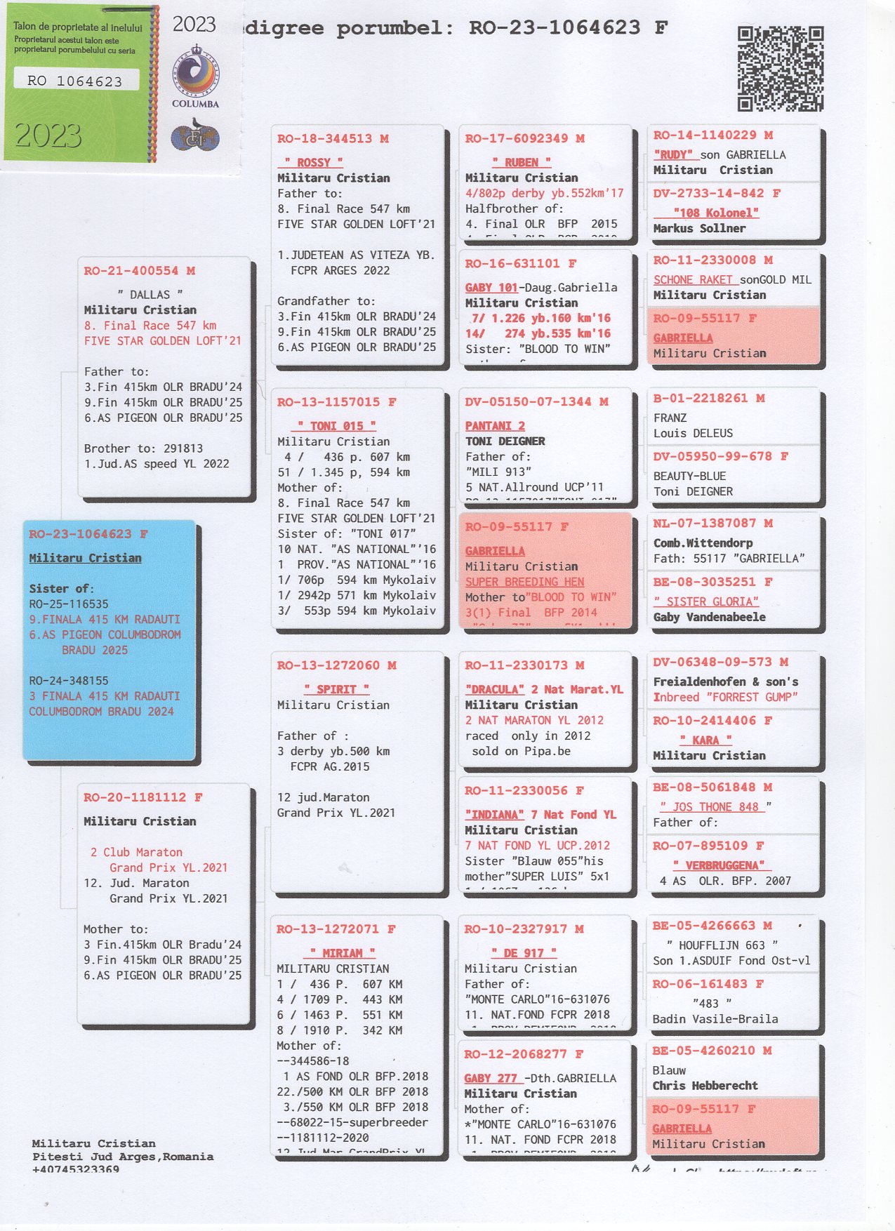 RO 23 1064623 F - SISTER 9 FINAL (6 ACE) BRADU OLR 