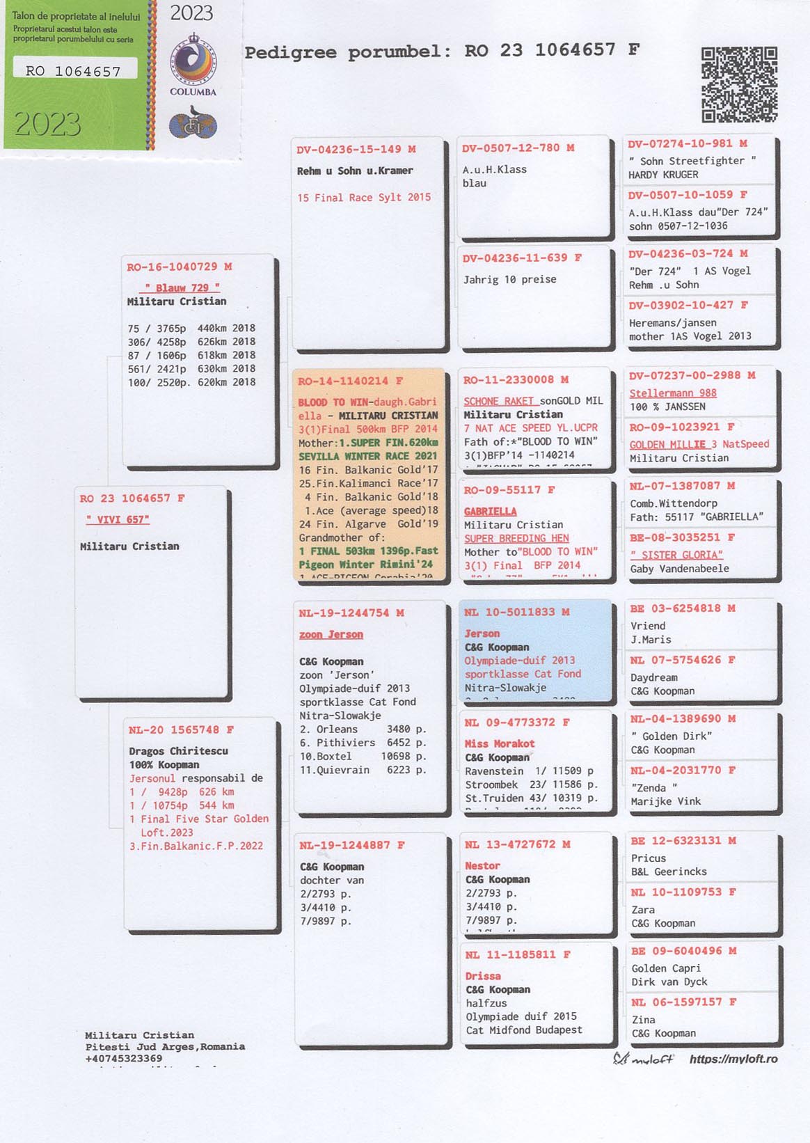 RO 23 1064657 F - GRANDDAUGHTER BLOOD TO WIN 3=1 FINAL BFP