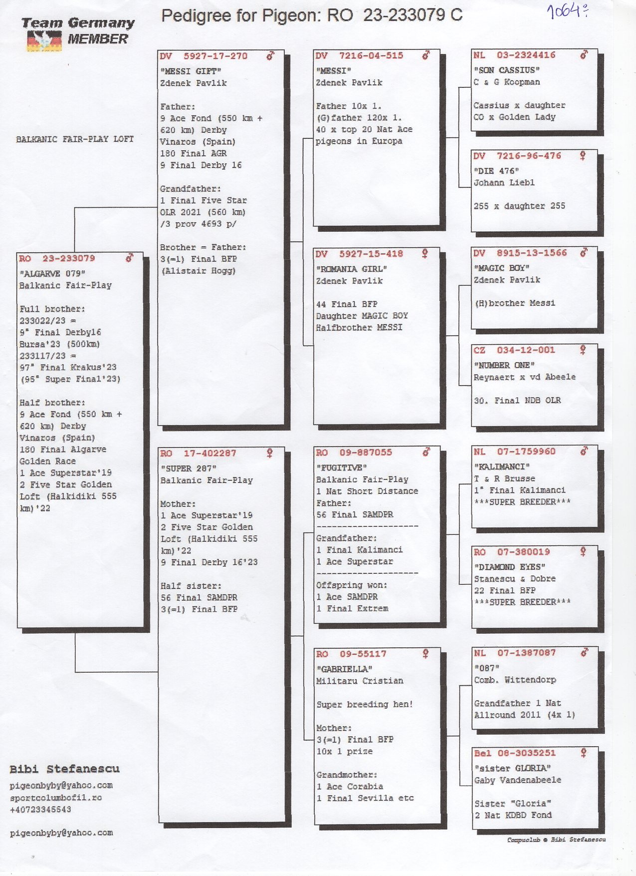 RO 23 233079 M - BFP LOFT - Brother 9 Final Derby 16 Bursa (Grandson Messi, Fugitive)