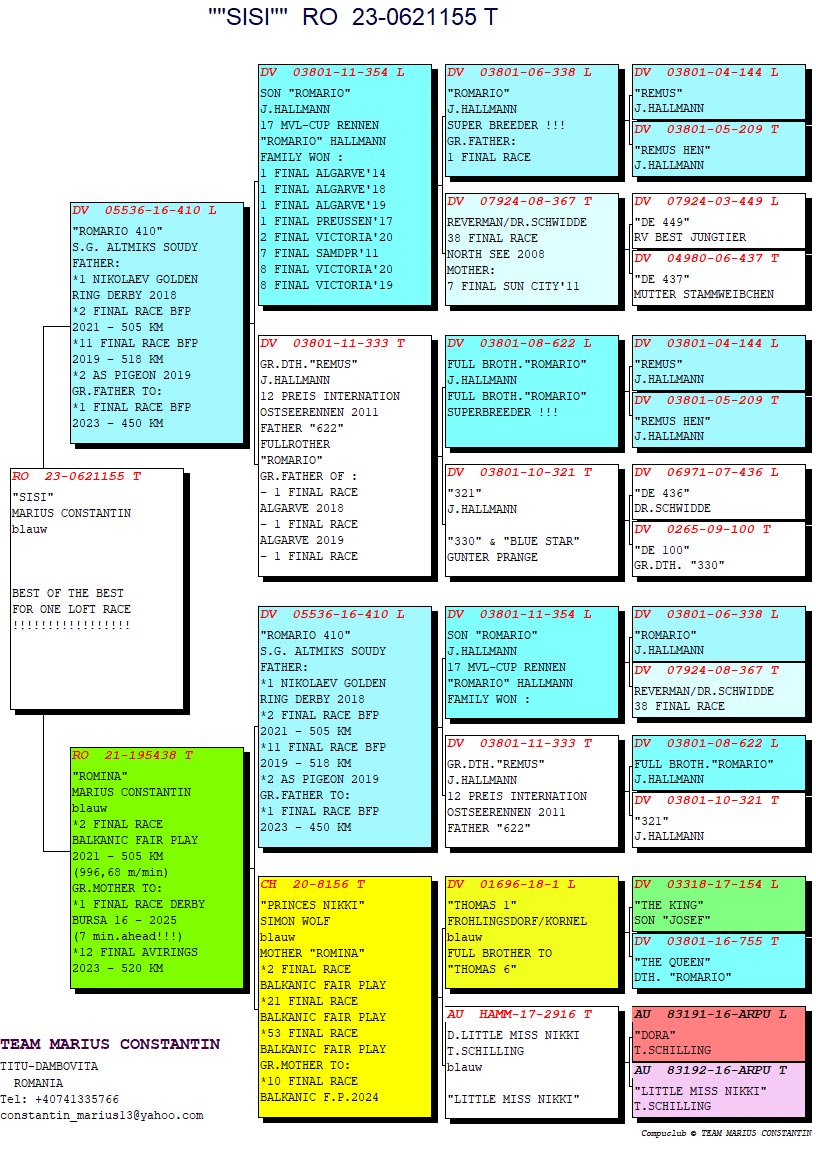 RO 23 621155 F - 410 x ROMINA! Unique offer!