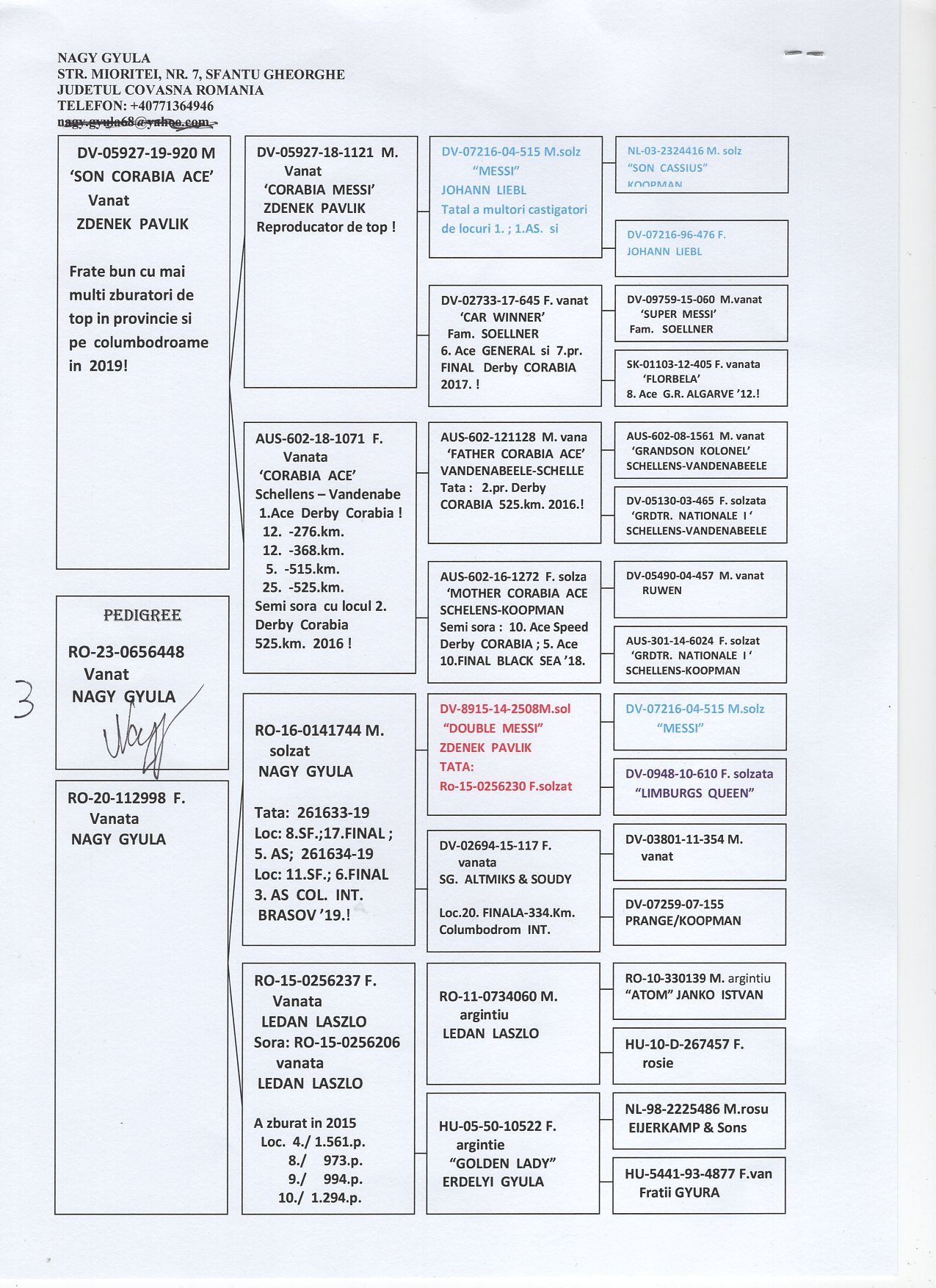 RO 23 656448 M - NAGY GYULA - 3 Final Transilvania OLR; Grandson Corabia Messi