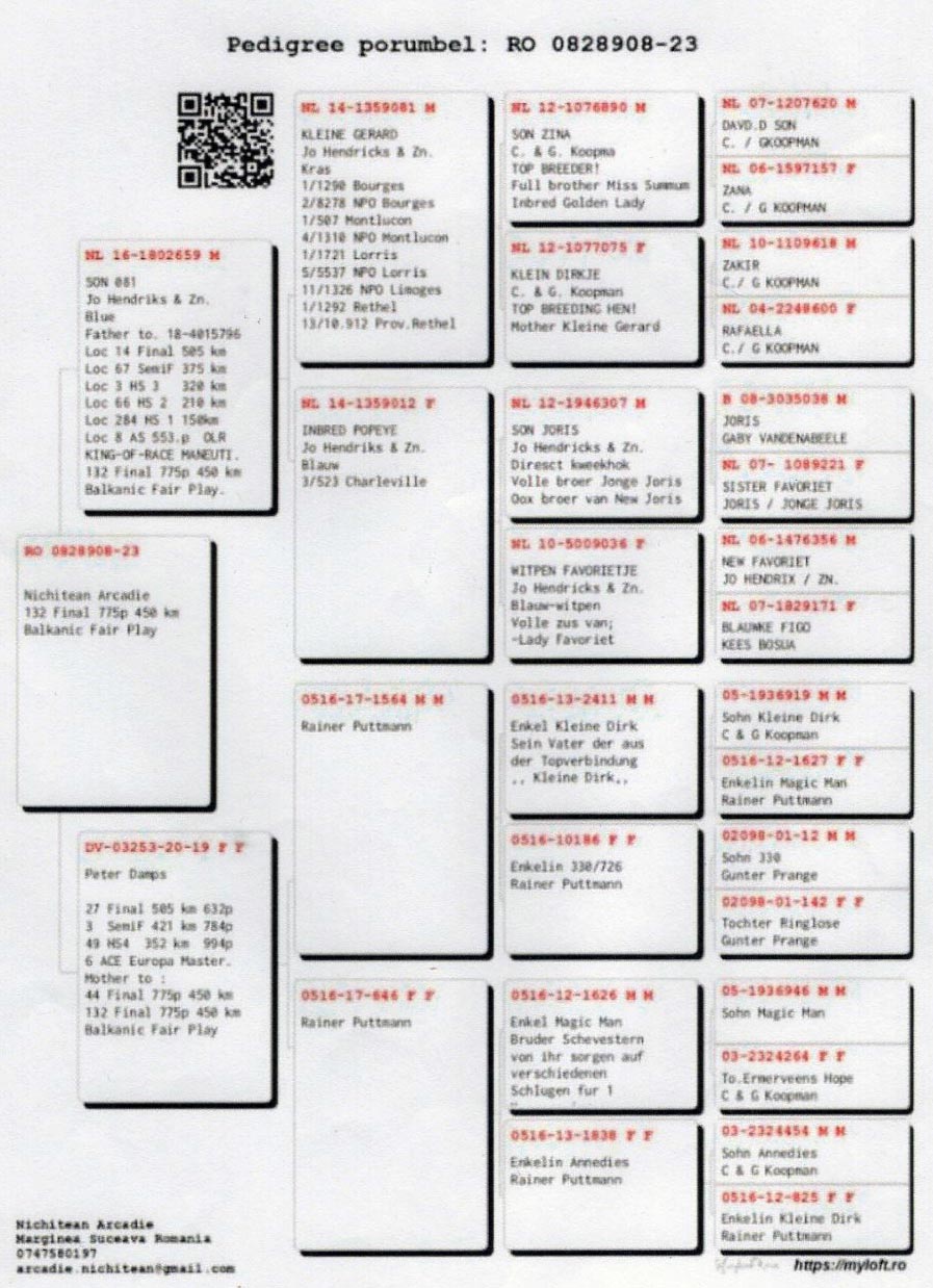 RO 23 828908 M - NICHITEAN ARCADIE - 132 Final BFP; Grandson Kleine Gerard