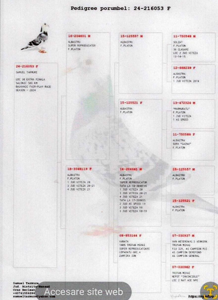 RO 24 216053 M - SAMUEL TARMURE - 30 Super Derby BFP (506 km)