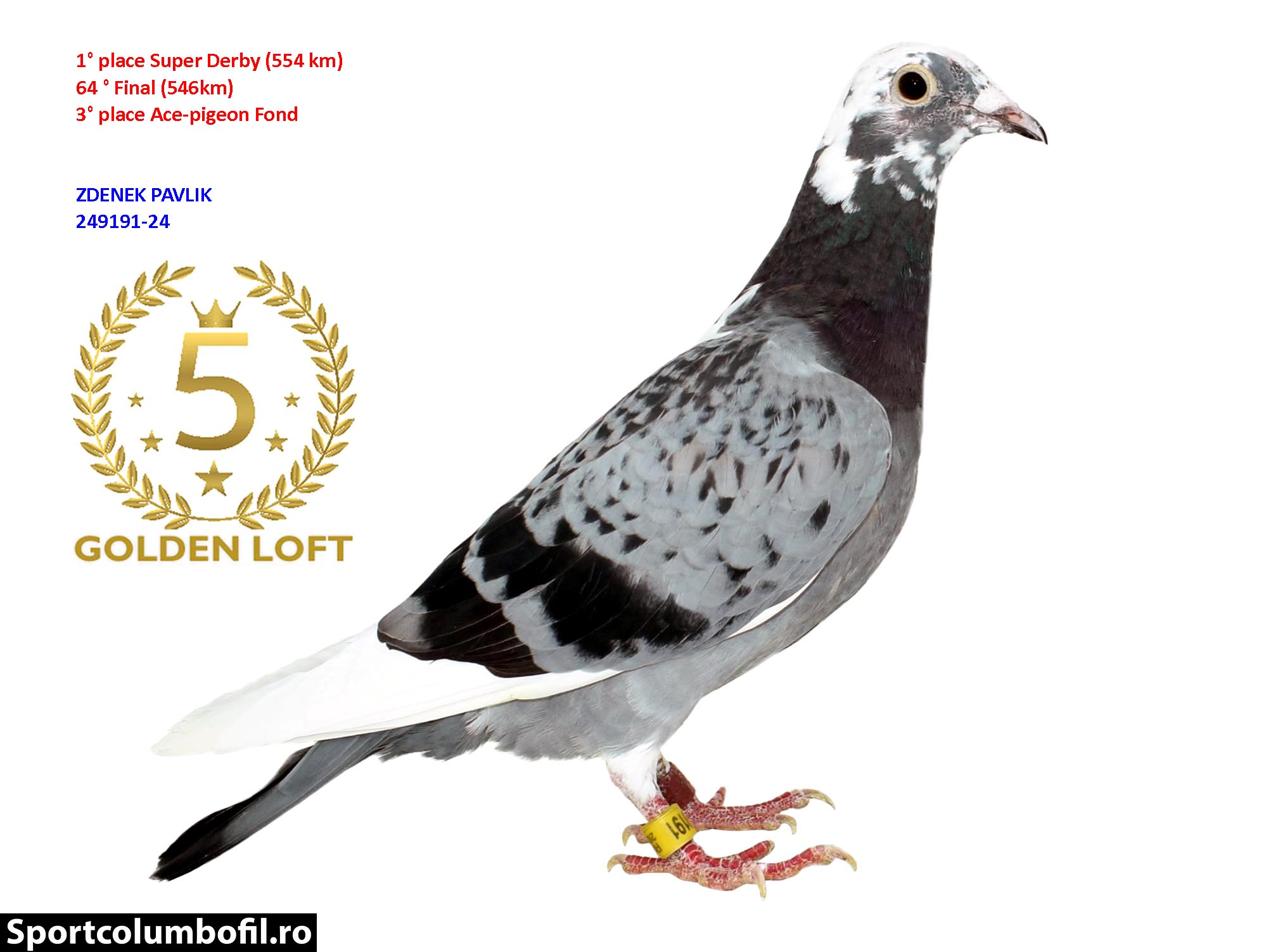 RO 24 249191 F Halkidiki Queen - 1 place prov Hakidiki Open Race (1 XFinal FSGL)