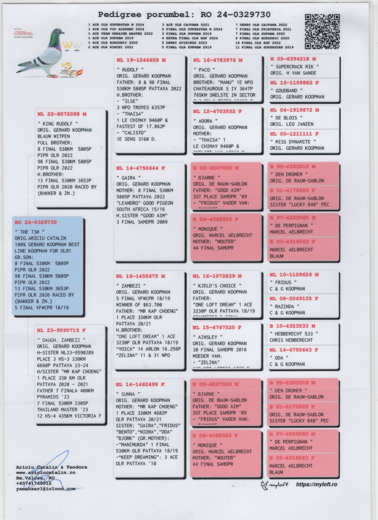 RO 24 329730 M - ARICIU CATALIN - Grandson ZAMBEZI (C & G Koopman) 5 Final VF OLR