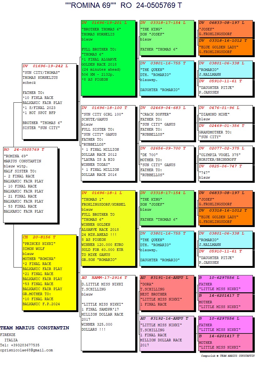 RO 24 505769 F - Half sister ROMINA 2 Final BFP (super breeding hen)
