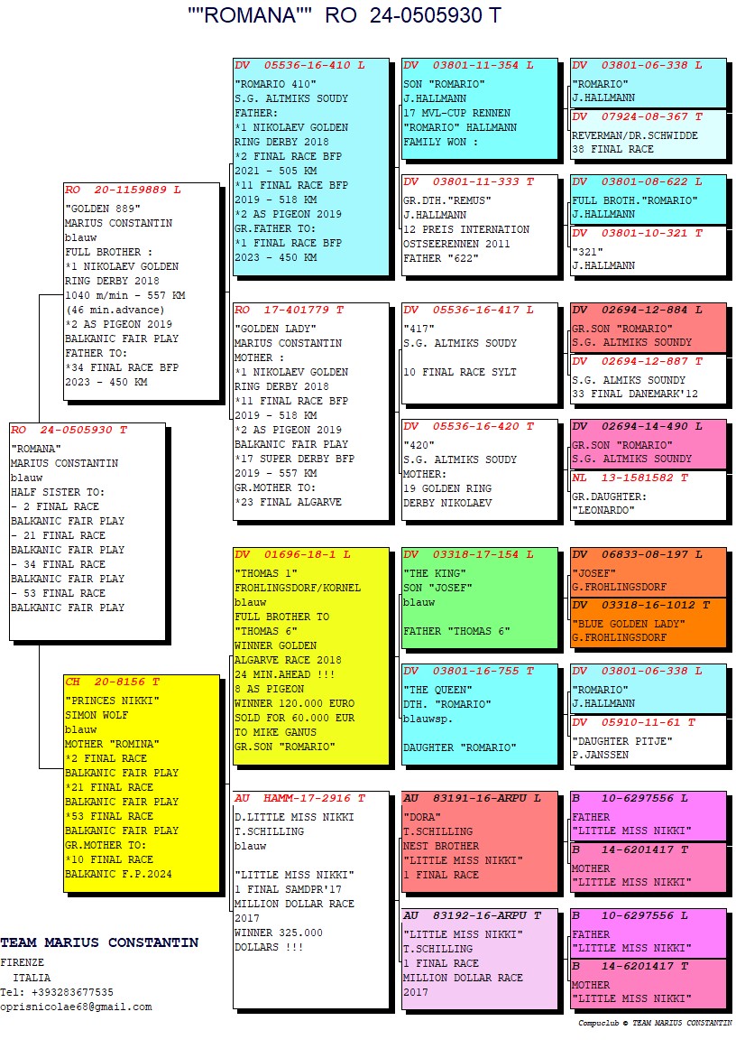 RO 24 505930 F - Half sister ROMINA 2 Final BFP (super breeding hen)